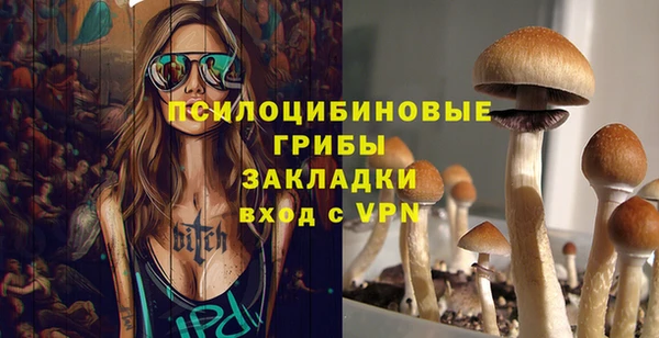 дурь Алексин