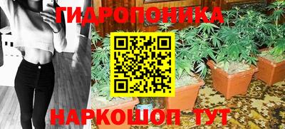 мяу мяу мука Апшеронск
