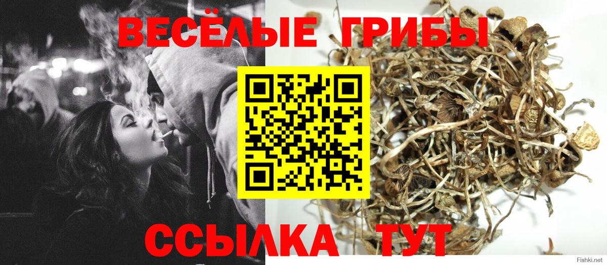 Псилоцибиновые грибы GOLDEN TEACHER  Вход с VPN  Псилоцибиновые грибы мицелий  Альметьевск 