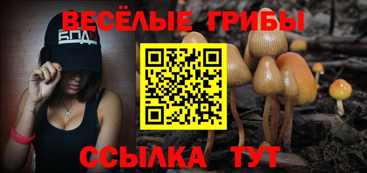 Псилоцибиновые грибы ЛСД Альметьевск